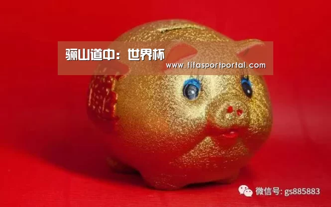 2026世界杯